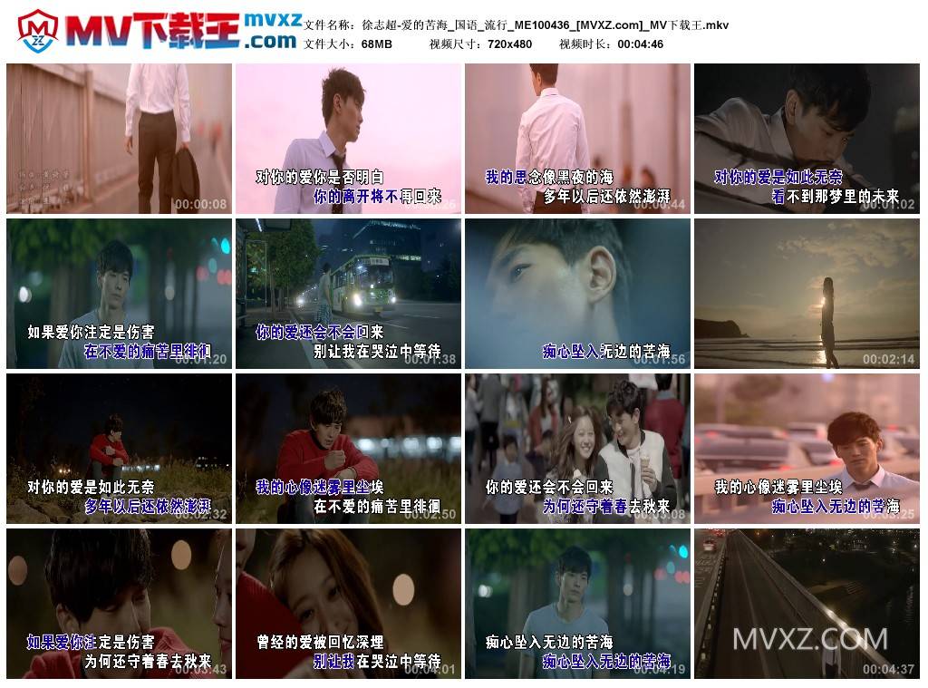 徐志超-爱的苦海_国语_流行_ME100436